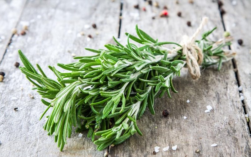 prostateuteite-apo-egkefaliko-kai-altsxaimer-me-dendrolibano