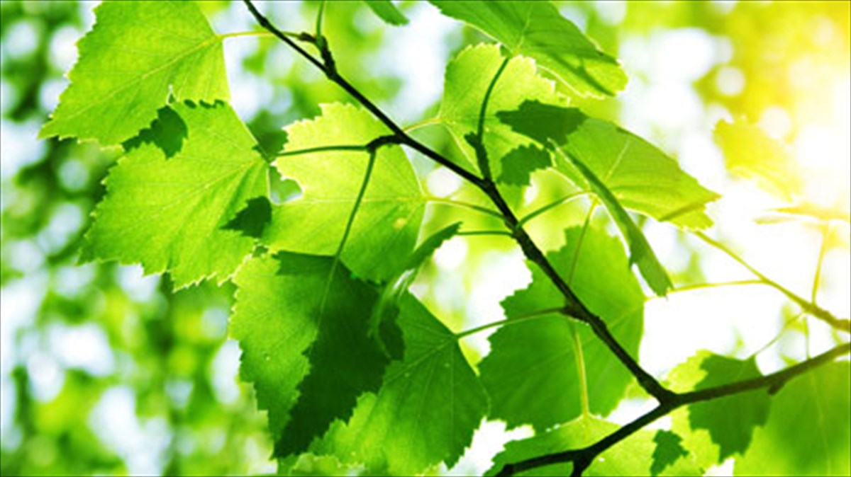 epta-kallitexnes-mas-sustinoun-to-festibal-rematias