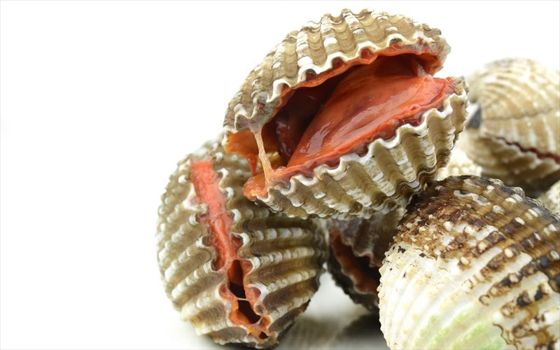 poies-einai-oi-pio-epikindunes-trofes-tou-kosmou