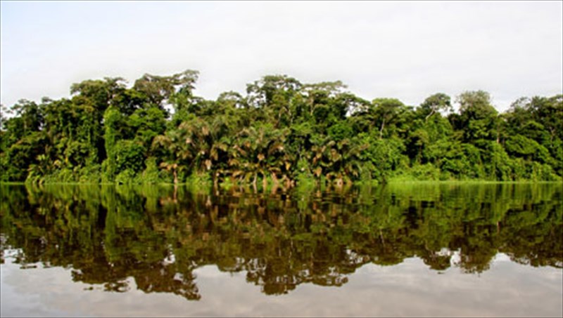 taksideuontas-se-meri-muthika