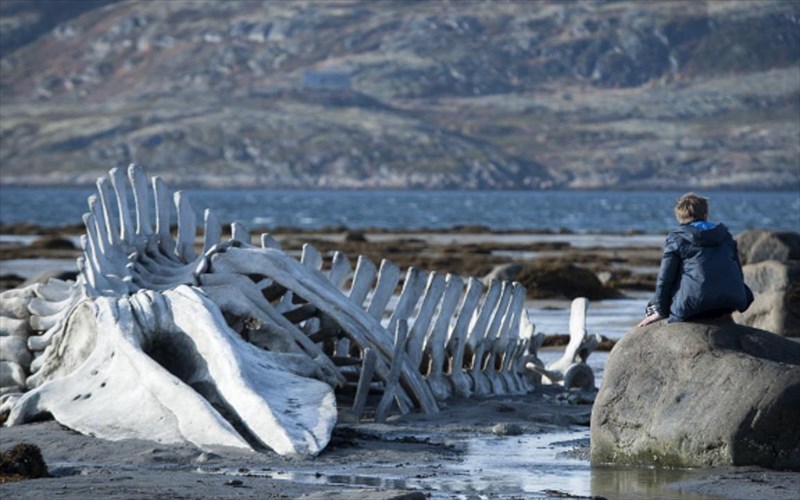 kritiki-tainias-lebiathan