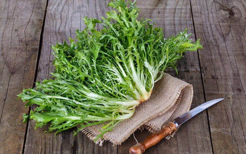 irthe-i-ora-gia-antidi-ora-gia-antidi