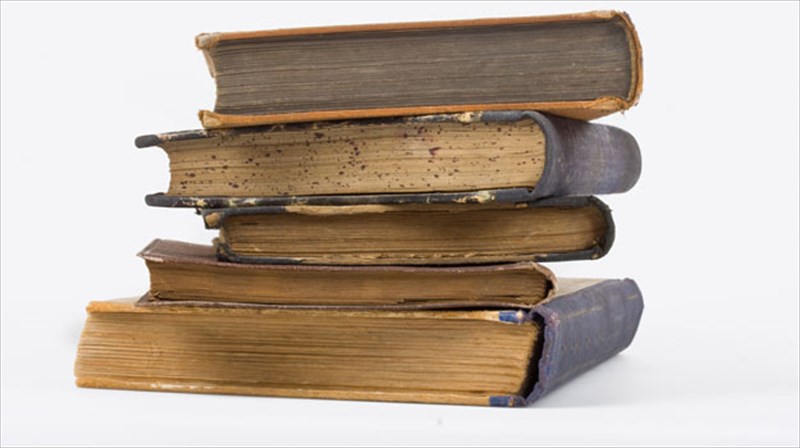 dipli-apoleia-gia-ti-galliki-dianoisi