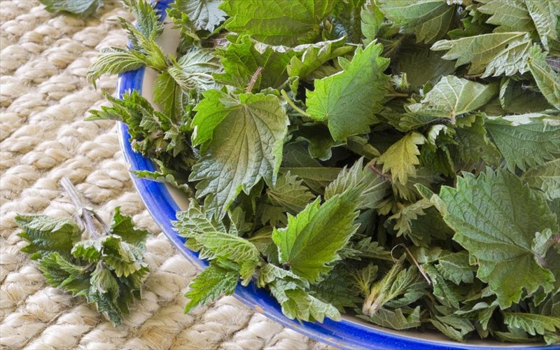 pente-ofeli-tis-tsouknidas-sti-diatrofi-mas