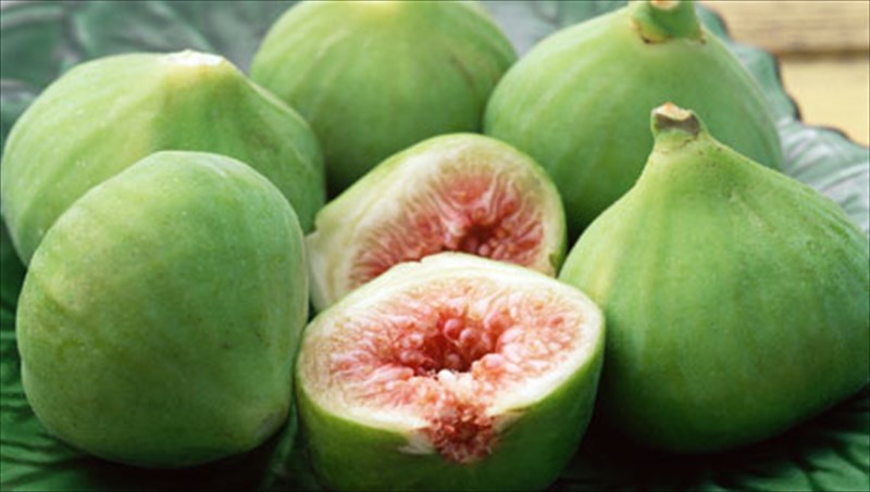 suko-to-frouto-me-ta-9-ofeli-gia-tin-ugeia-mas-ofeli-gia-tin-ugeia-mas