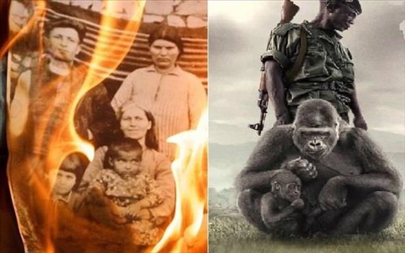 paradoksi-patrida-kai-virunga-proteusan-sto-17o-festibal-ntokimanter-thessalonikis