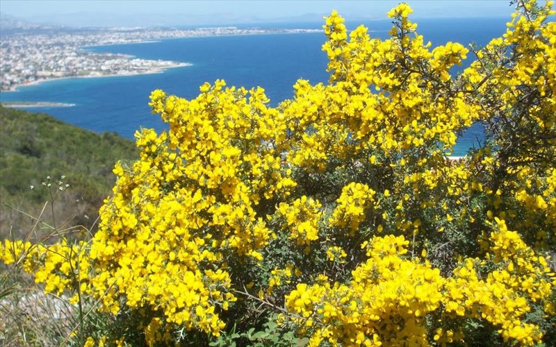 enas-umnos-sto-megaleio-tis-gunaikeias-fusis