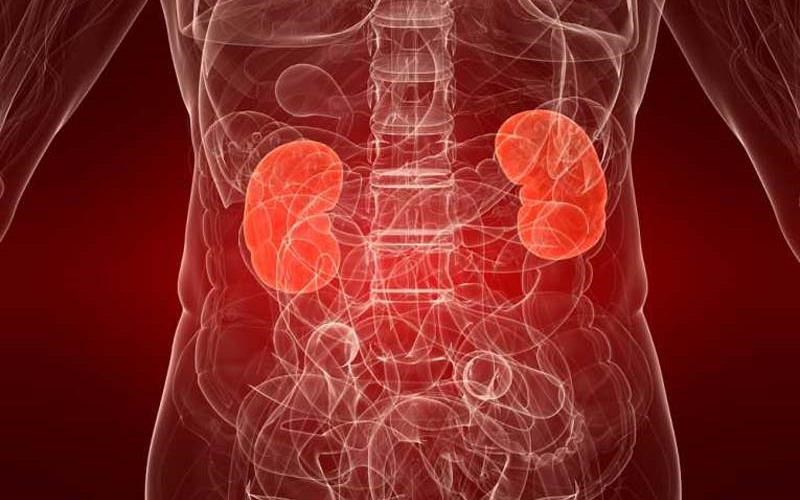 8-simeia-sos-pou-prominuoun-nosous-ton-nefron-simeia-sos-pou-prominuoun-nosous-ton-nefron