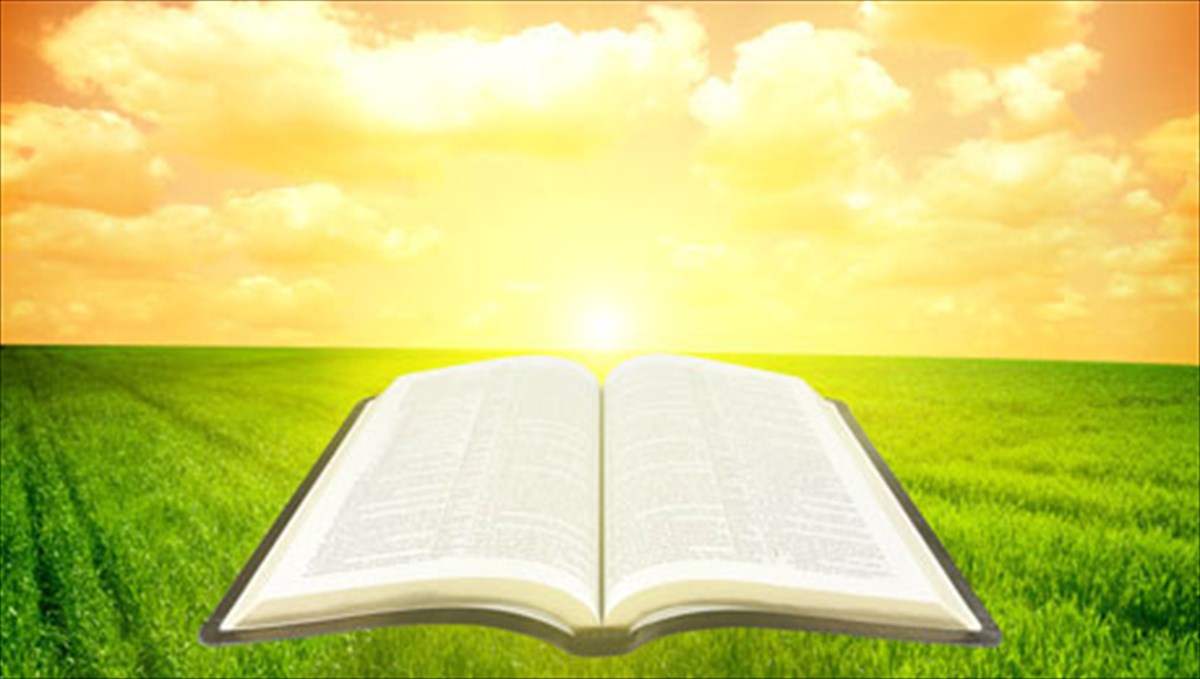 zoze-saramagkou-etoimazontai-duo-nees-metafraseis-ton-biblion-tou