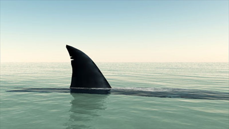 poies-paralies-protimoun-oi-karxaries