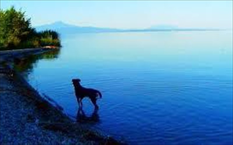 tainia-eis-diploun-apo-ton-gkontar