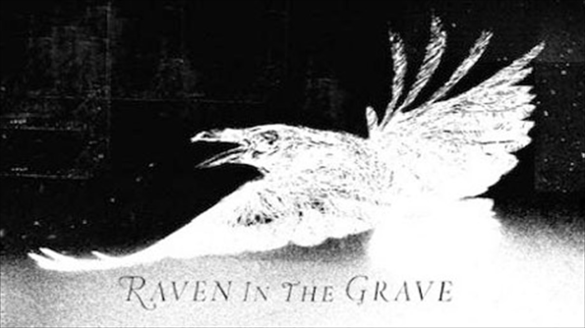 diskokritiki-raven-in-the-grave-the-raveonettes-the-raveonettes
