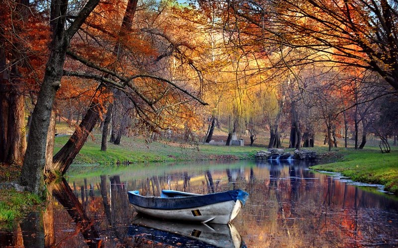 i-prostasia-tou-periballontos-einai-tropos-zois