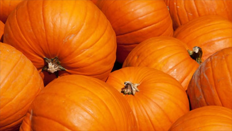 ti-trome-to-fthinoporo