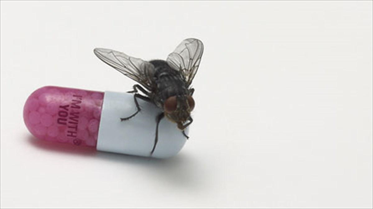 diskokritiki-im-with-you-red-hot-chili-peppers