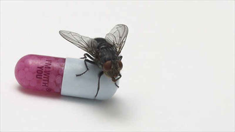 diskokritiki-im-with-you-red-hot-chili-peppers