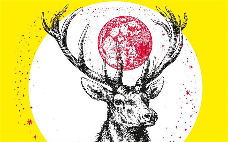 partu-gia-tin-panselino-tou-arsenikou-elafiou-sto-bios