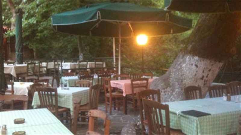 kissos-authentiki-elliniki-kouzina-se-prasino-fonto