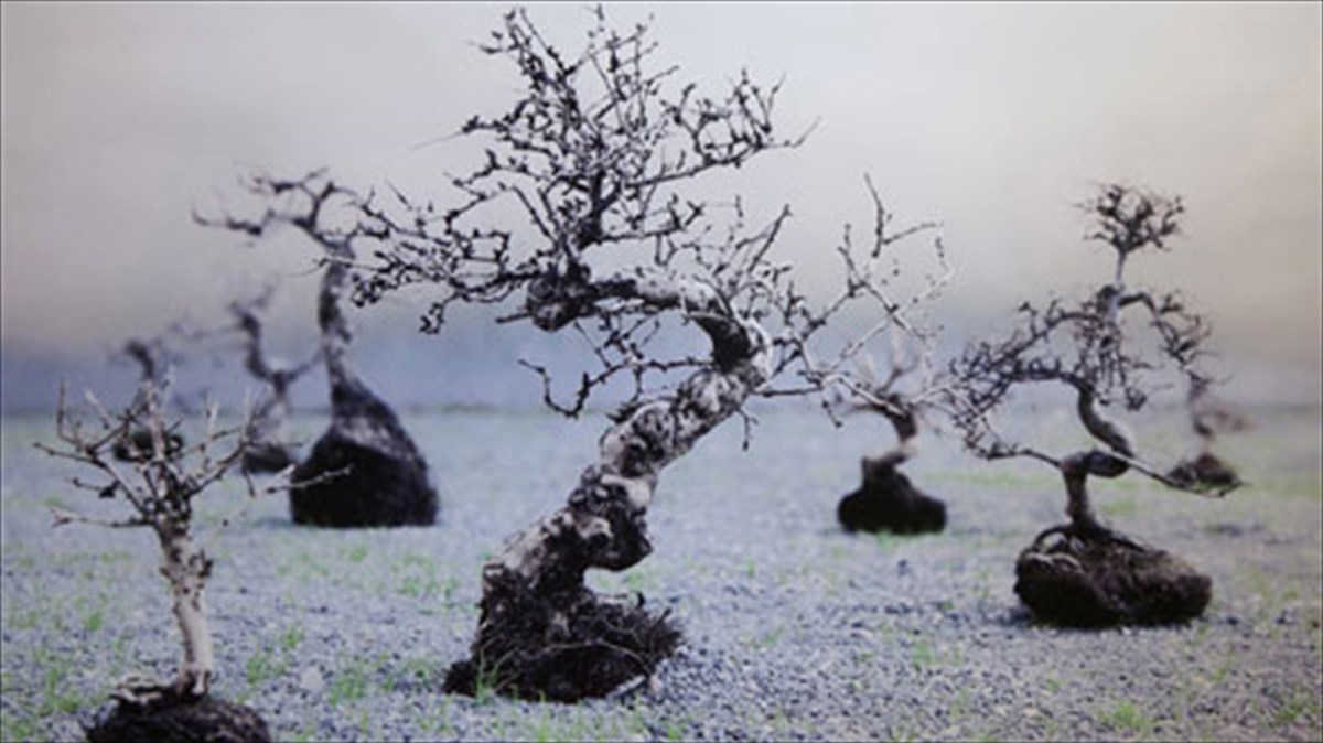 o-xronos-protagonistei-se-mia-ekthesi-gemati-anamniseis