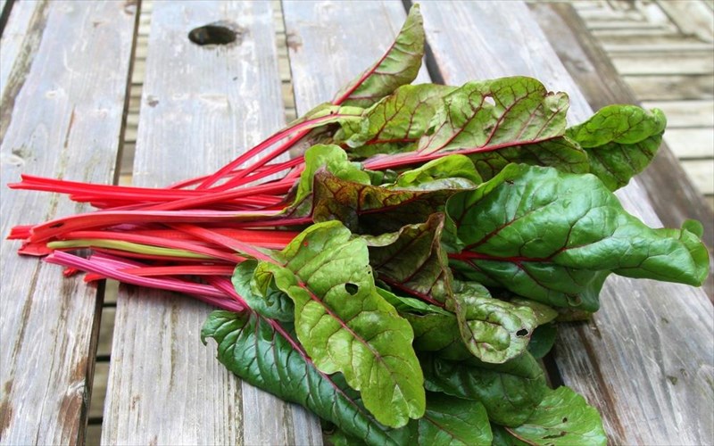 ta-pio-psagmena-kai-ugieina-laxanika