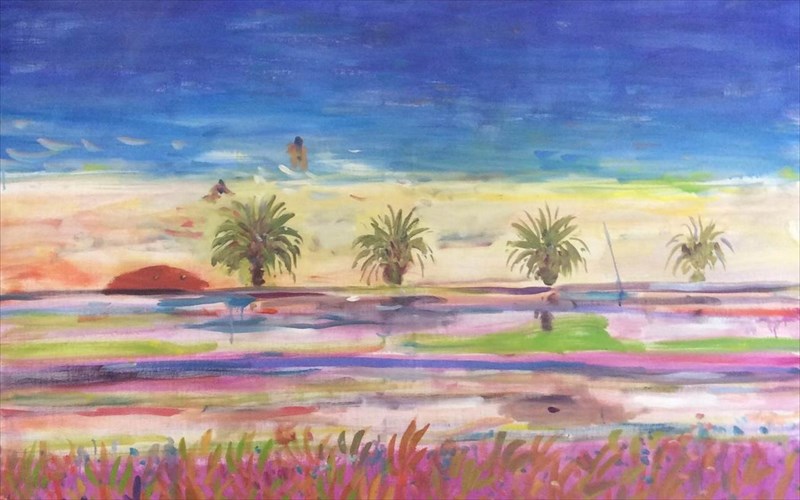 i-gkaleri-skoufa-paei-mukono-kai-kanei-egkainia-me-xadouli