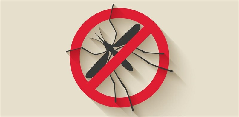 diokste-ta-kounoupia-me-futa