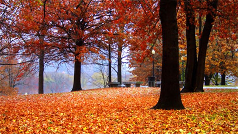 deka-tragoudia-gia-na-mpeite-omala-sto-fthinoporino-klima