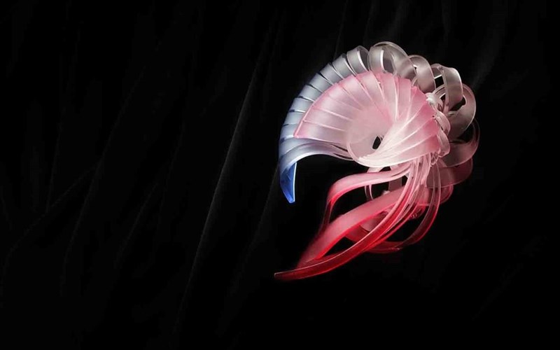 eikastika-kosmimata-apo-tin-taiban-stin-ellada