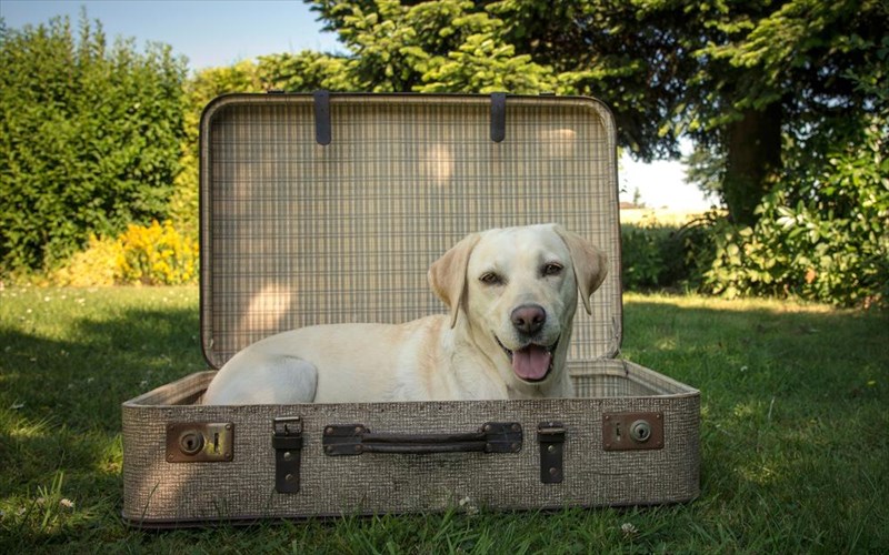 pos-na-taksideuete-me-ta-katoikidia-sas-me-asfaleia