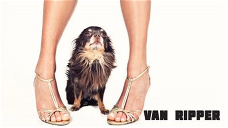 diskokritiki-i-skulla-van-ripper