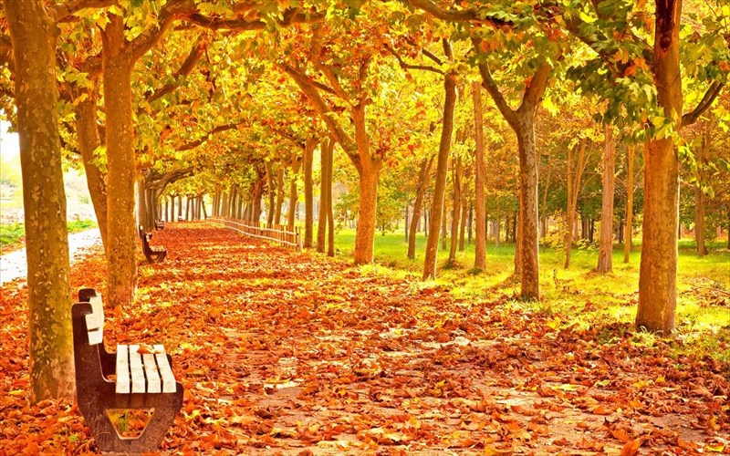 4kai4-tragoudia-gia-na-kalosorisoume-ton-septembri