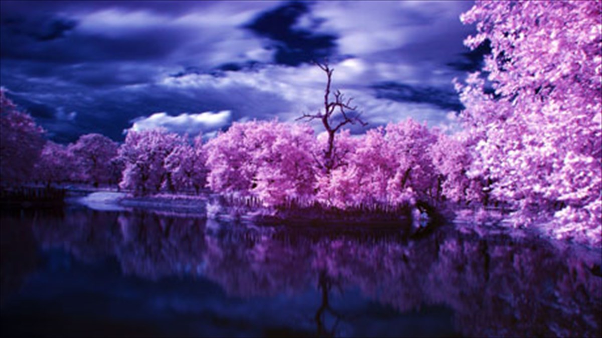 fos-xromata-kai-antanaklaseis-mesa-apo-ton-fotografiko-fako