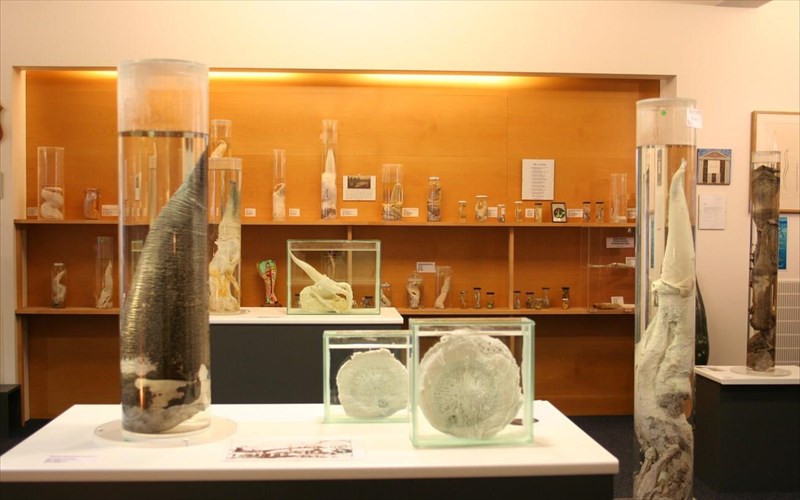 tour-sta-pio-allokota-mouseia-tou-kosmou