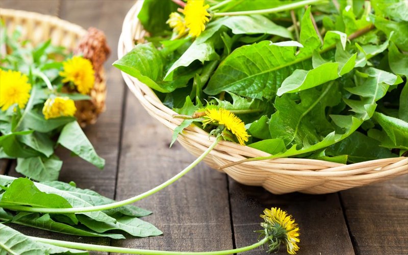 pos-mporoun-na-mas-ofelisoun-oi-pikres-trofes