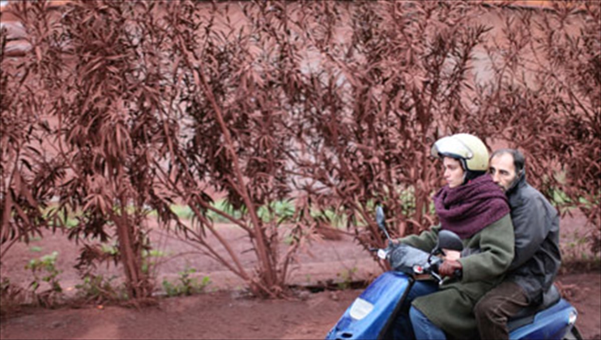 attenberg-thriambeuse-sto-kinimatografiko-festibal-tis-roumanias