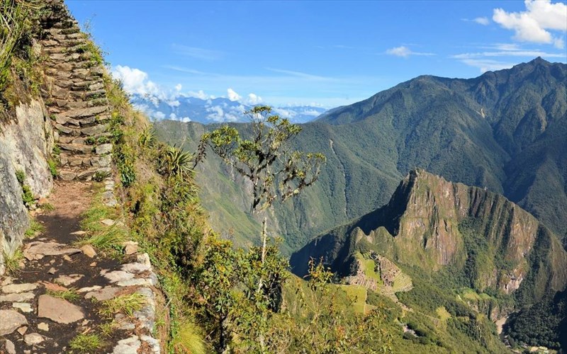 6-aksiotheata-me-skalopatia-pou-prokaloun-deos-aksiotheata-me-skalopatia-pou-prokaloun-deos