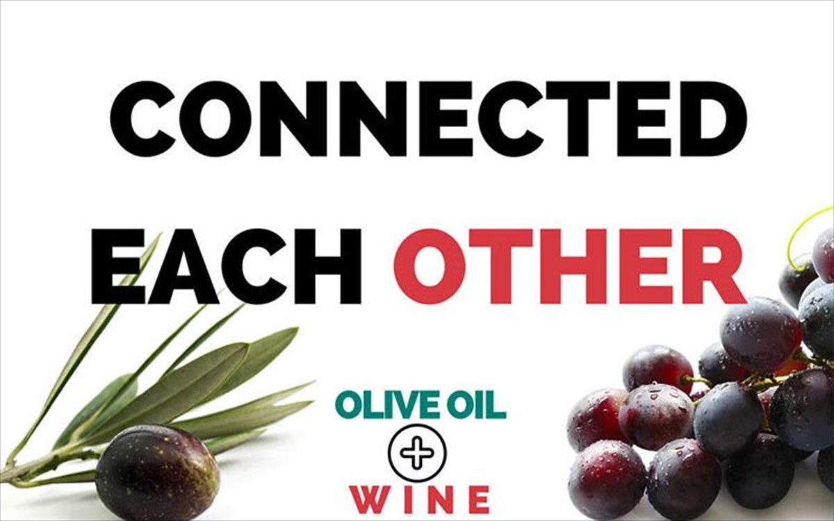 sunedrio-krasi-elaiolado