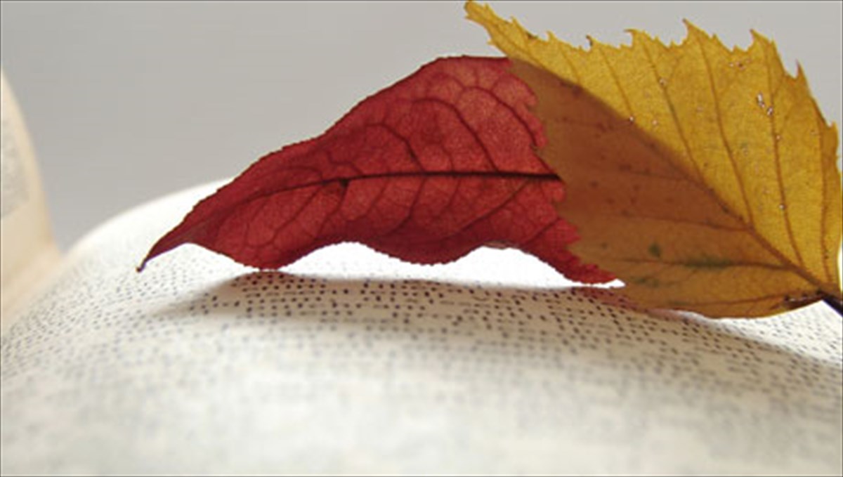 poiitiki-epithesi-sto-mauro-xrima