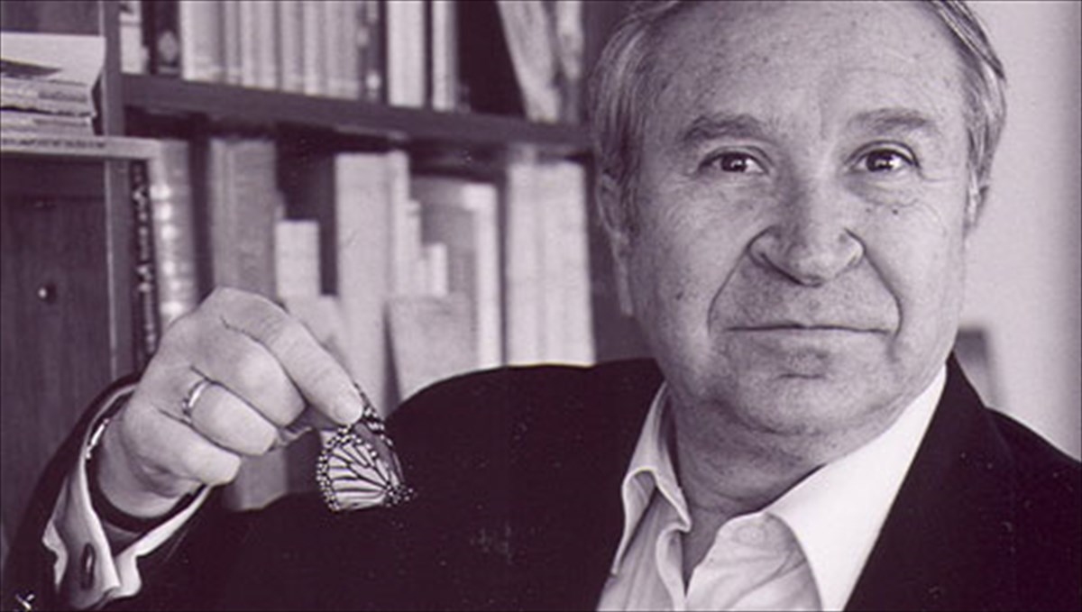 poiitiko-fos-apo-ton-omero-aritzis