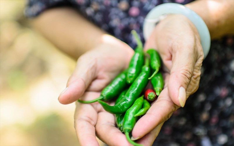 thelete-na-piasete-ta-100-deite-ti-prepei-na-trote