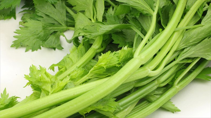 to-selino-frenarei-tin-apoleia-mnimis