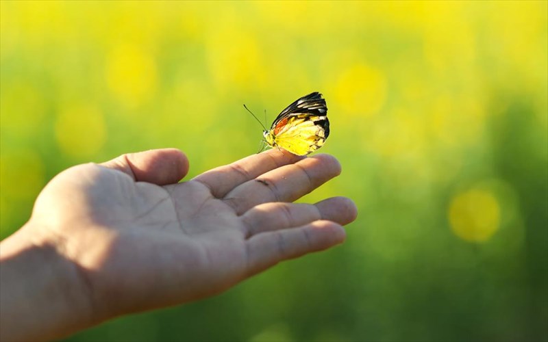 ti-nea-xronia-esu-ferneis-tis-allages-sti-zoi-sou