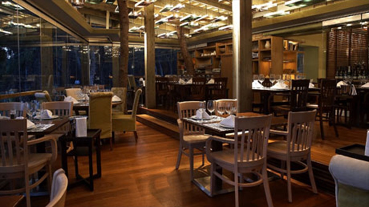 elkustiko-menou-me-eklektes-oinikes-protaseis-sto-alsos-papagou