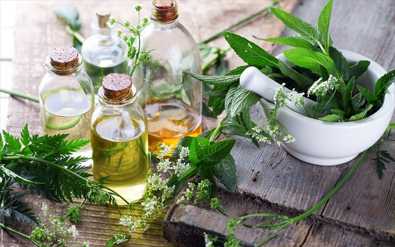 oi-euergetikes-idiotites-ton-aitherion-botanon-proto-meros