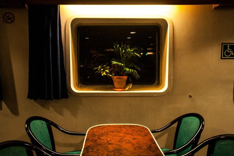 fotografika-zeugi-2016-stin-ellinoamerikaniki-enosi