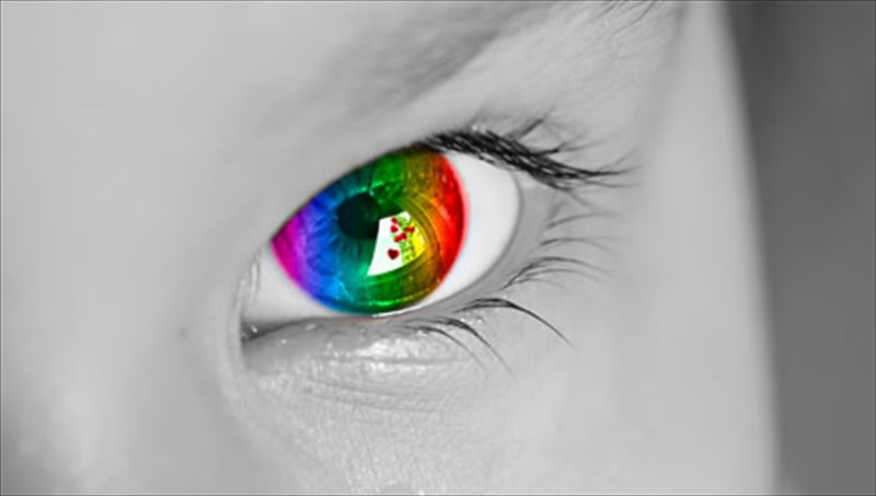 sunaisthisia-otan-duo-aisthiseis-ginontai-mia