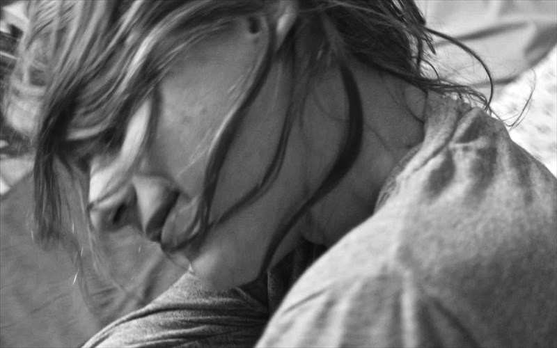 i-mikri-arktos-erxetai-stous-kinimatografous