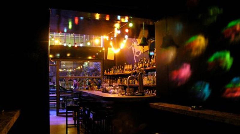 try-a-little-romance-sto-6-dogs-dogs