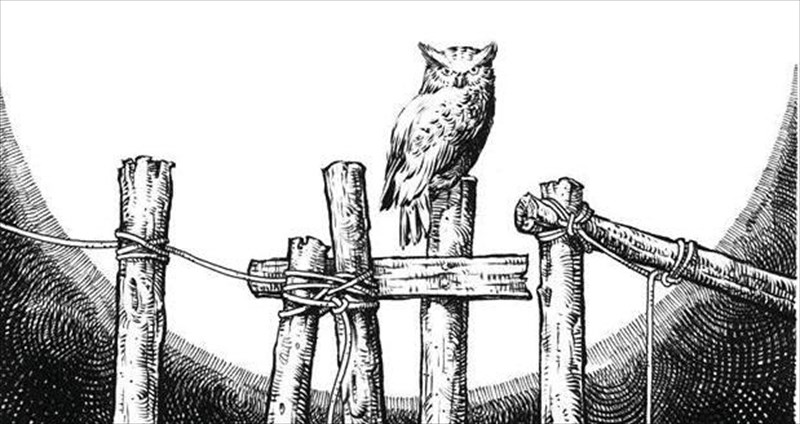 alice-in-wonderland-se-deuteri-anagnosi