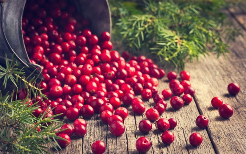 poies-trofes-kanoun-kalo-sta-nefra